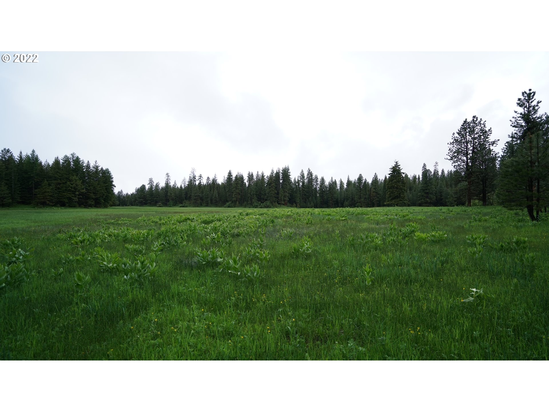 214 Forest Road Bates, OR 97817 - Photo 25 of 31 Gallery Image 25
