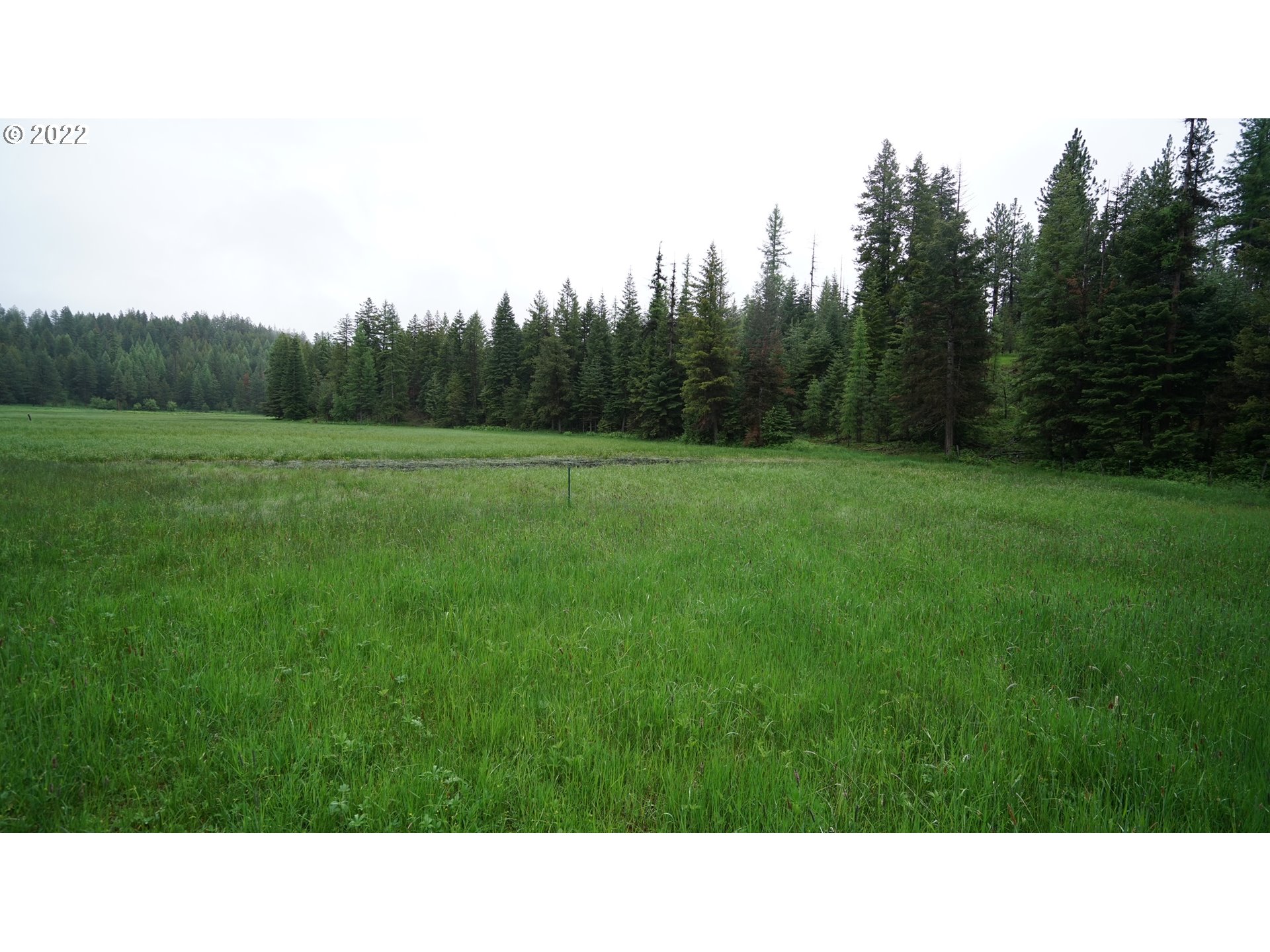 214 Forest Road Bates, OR 97817 - Photo 29 of 31 Gallery Image 29