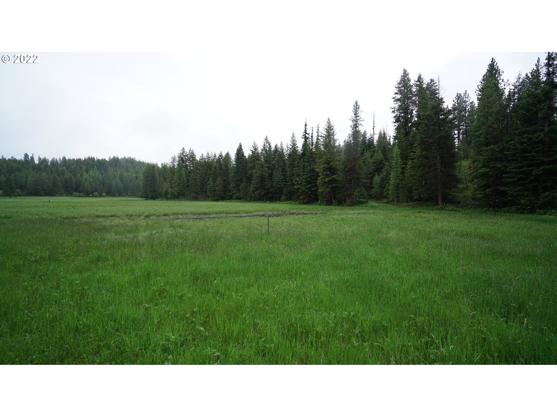 214 Forest Road Bates, OR 97817 - Photo 31 of 31 Gallery Image 31