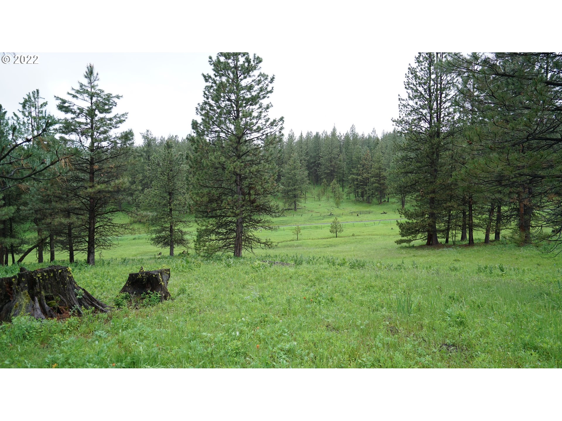 214 Forest Road Bates, OR 97817 - Photo 10 of 31 Gallery Image 10