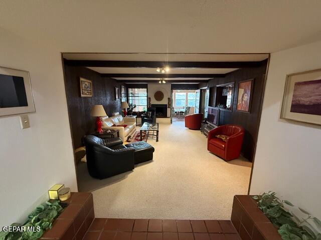 6435 Belton Road El Paso, TX 79912 - Photo 14 of 56 IMG_5344