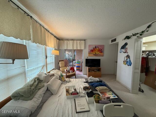 6435 Belton Road El Paso, TX 79912 - Photo 51 of 56 a living room with furniture and a flat screen tv