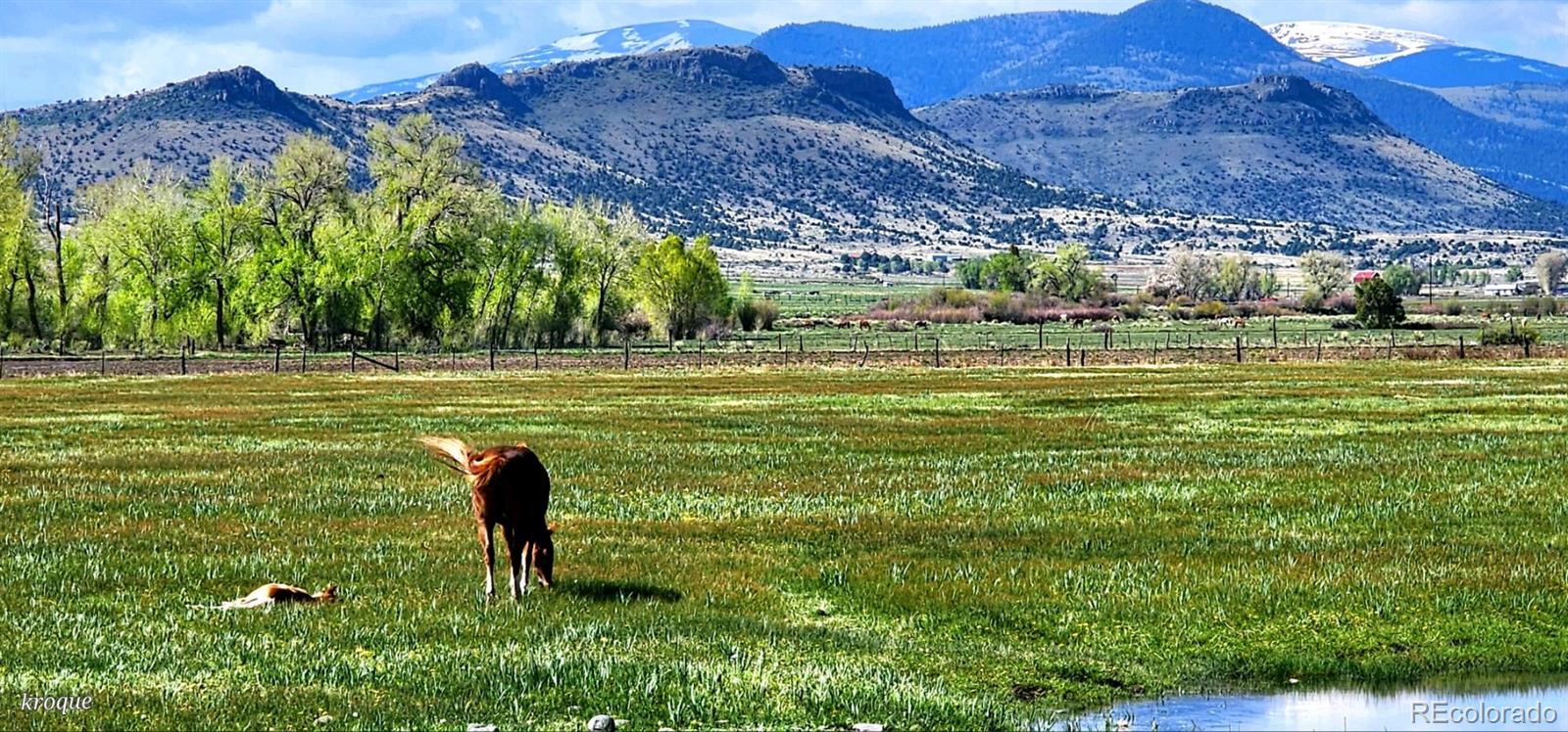 Spruce Street Del Norte, CO 81132 - Photo 43 of 50 a view of a golf ground with huge green field and large trees