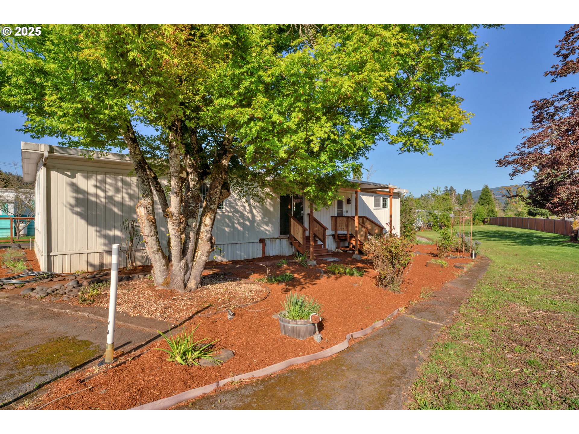39202 Camp Creek Road, Unit 7 Springfield, OR 97478 - Photo 7 of 39 a view of a yard with an tree