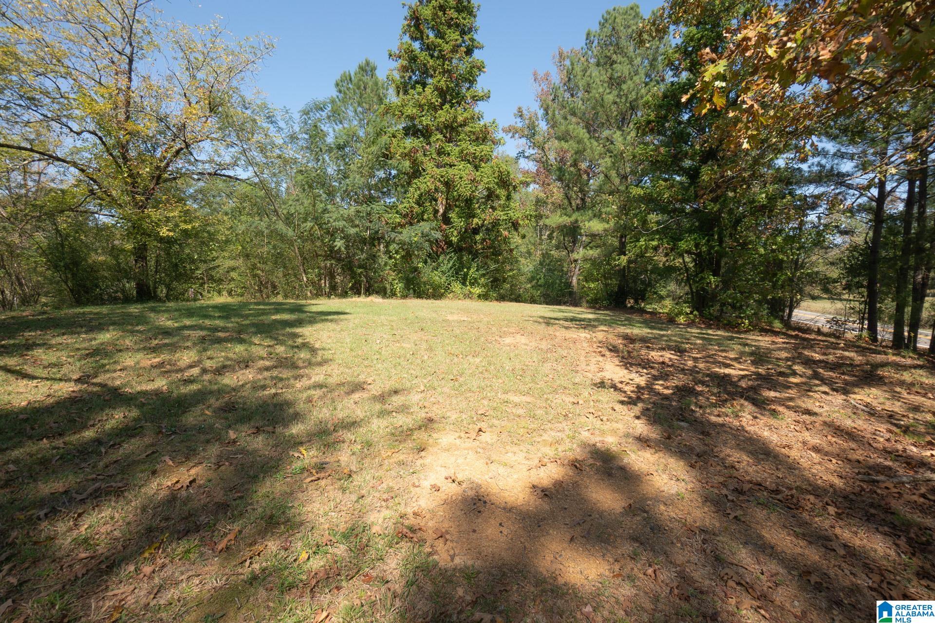 9204 Marsh Mountain Road Pinson, AL 35126 - Photo 49 of 56