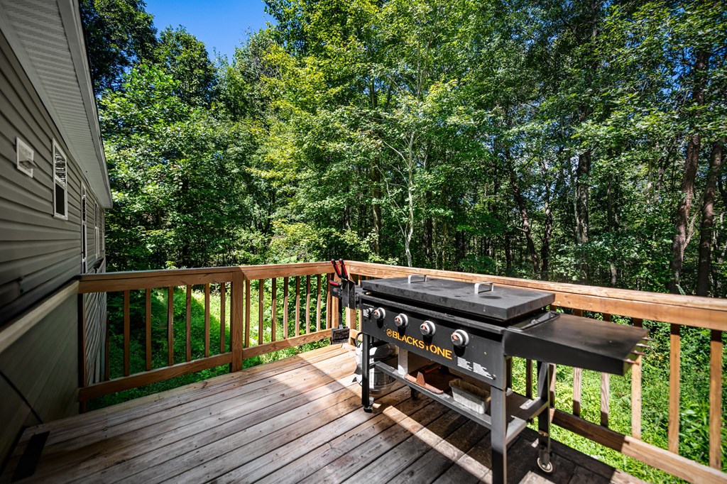 850 John Teem Road Ellijay, GA 30536 - Photo 42 of 52 Gallery Image 42