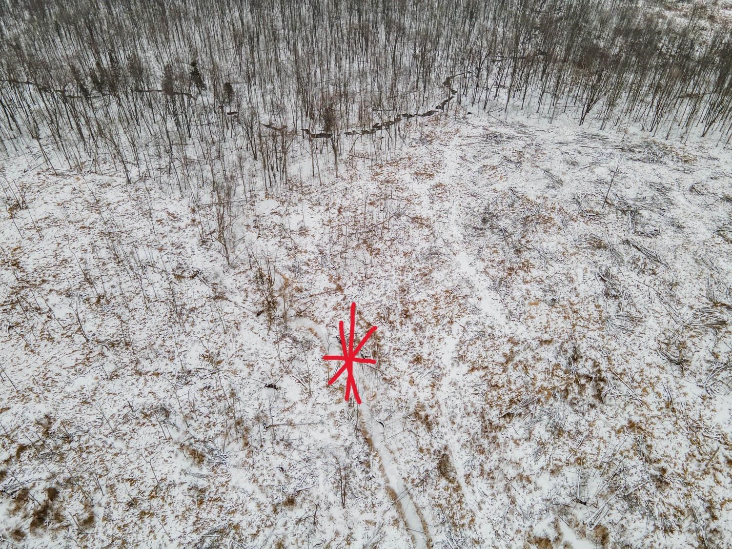 Chicago Road Redgranite, WI 54970 - Photo 11 of 44