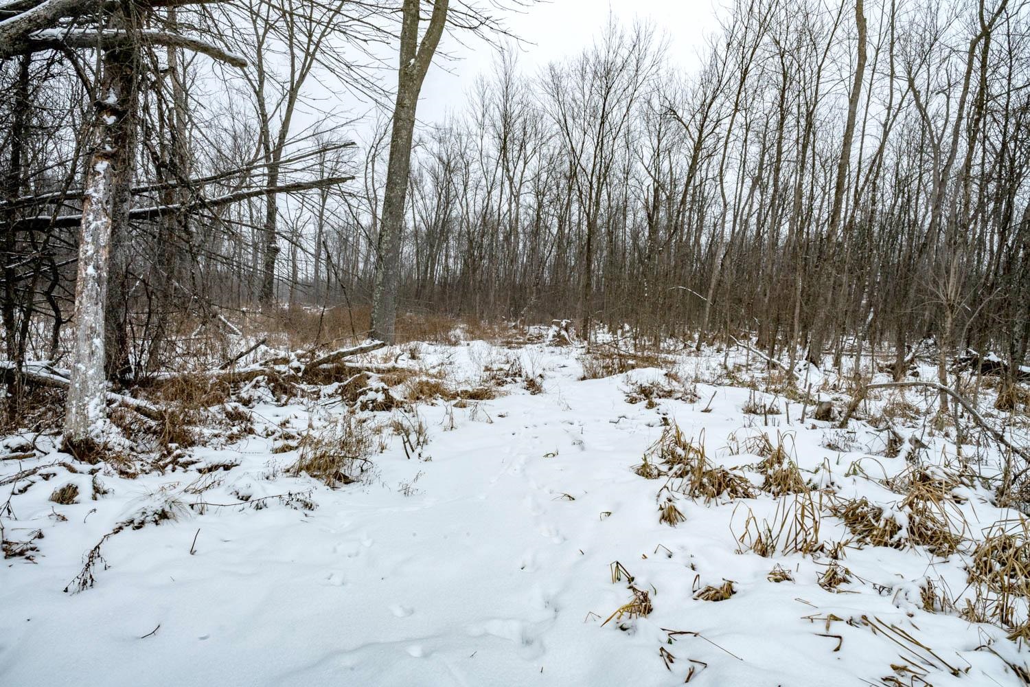 Chicago Road Redgranite, WI 54970 - Photo 13 of 44