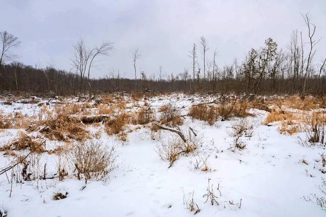 $164,900 | Chicago Road, Redgranite, WI 54970