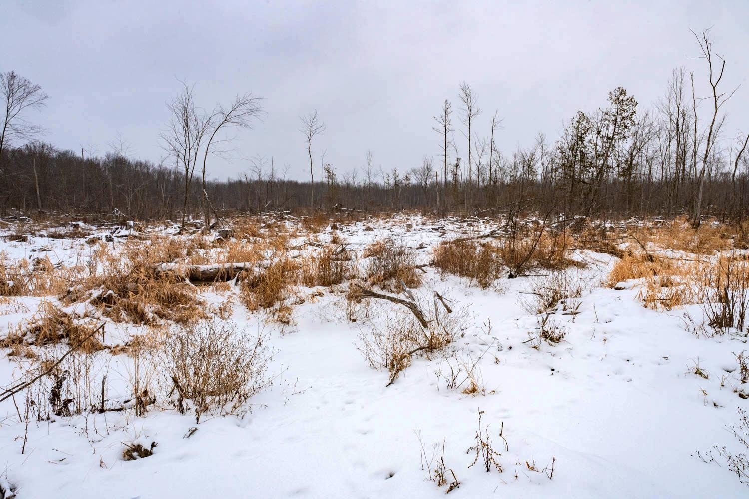 Chicago Road Redgranite, WI 54970 - Photo 15 of 44