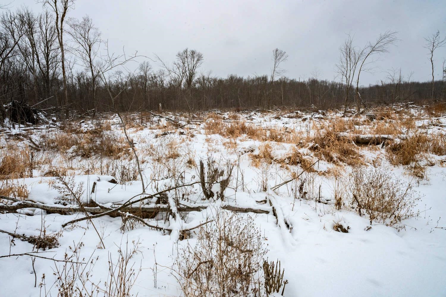 Chicago Road Redgranite, WI 54970 - Photo 16 of 44