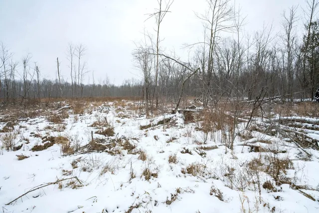 $164,900 | Chicago Road, Redgranite, WI 54970