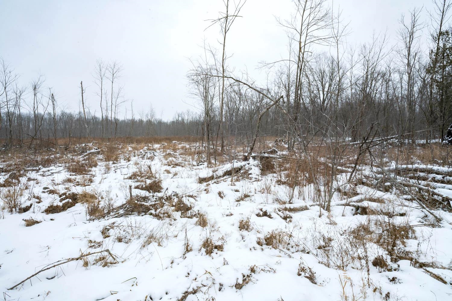 Chicago Road Redgranite, WI 54970 - Photo 17 of 44