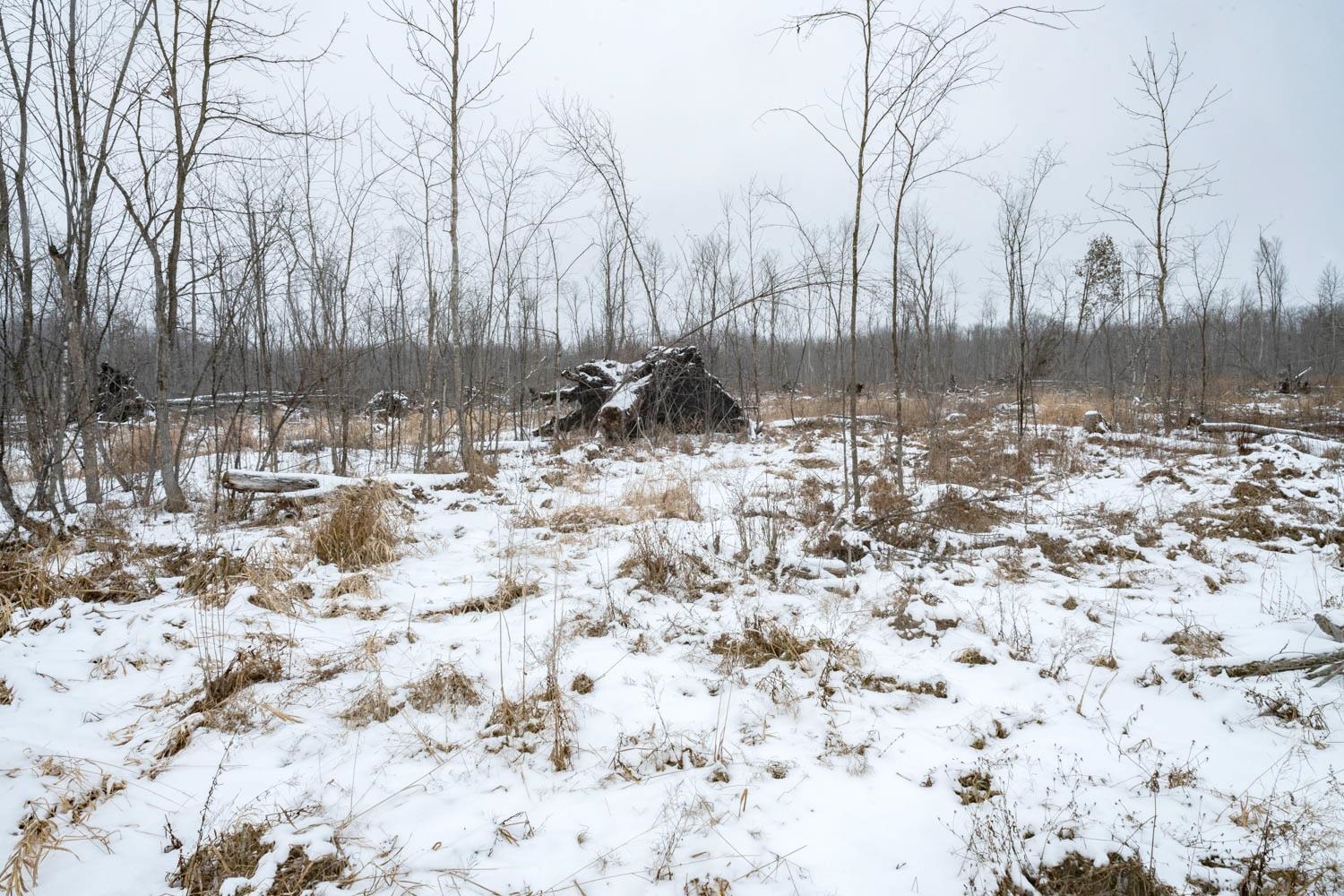 Chicago Road Redgranite, WI 54970 - Photo 18 of 44