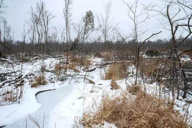 $164,900 | Chicago Road, Redgranite, WI 54970