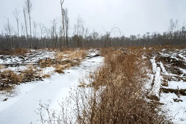 $164,900 | Chicago Road, Redgranite, WI 54970