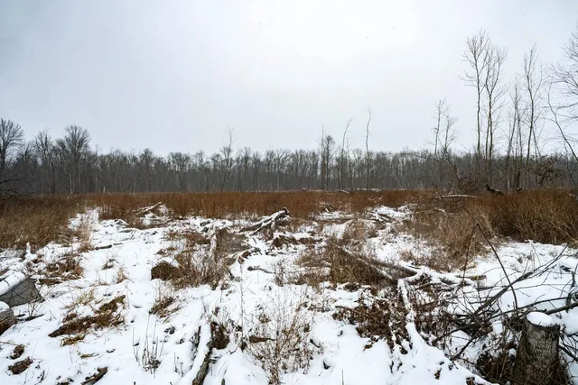 $164,900 | Chicago Road, Redgranite, WI 54970