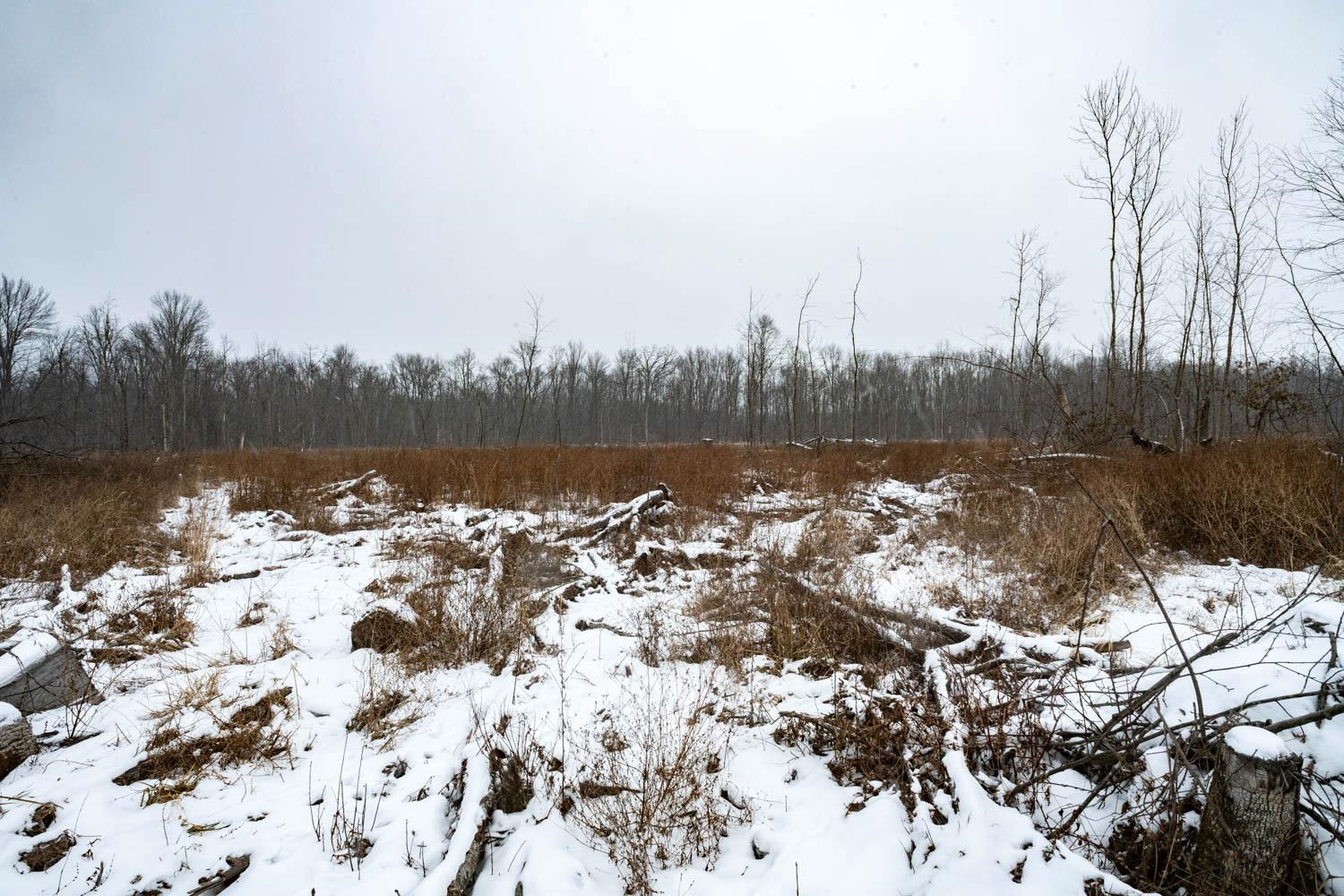 Chicago Road Redgranite, WI 54970 - Photo 21 of 44