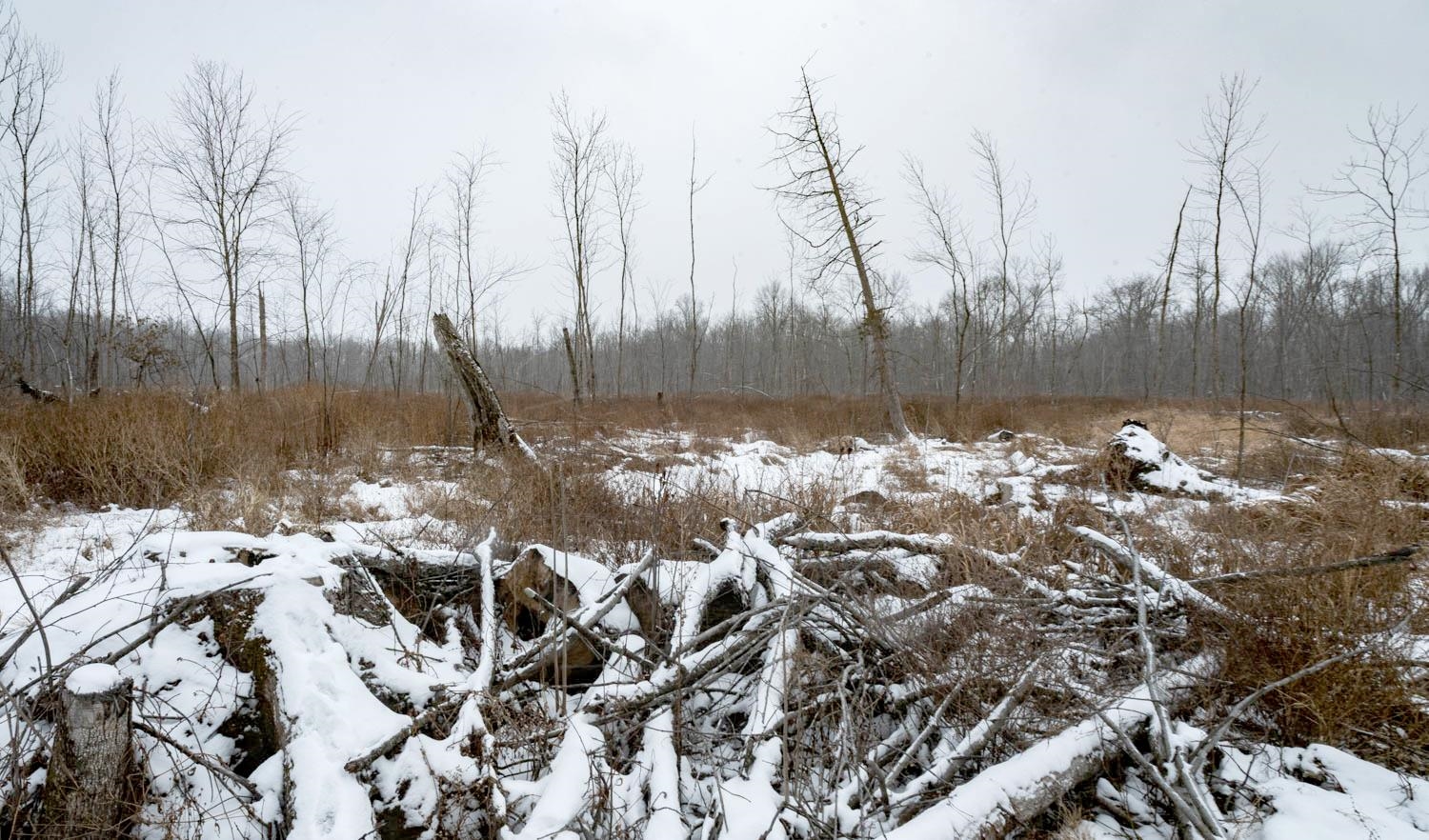 Chicago Road Redgranite, WI 54970 - Photo 22 of 44