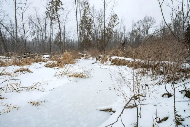 $164,900 | Chicago Road, Redgranite, WI 54970