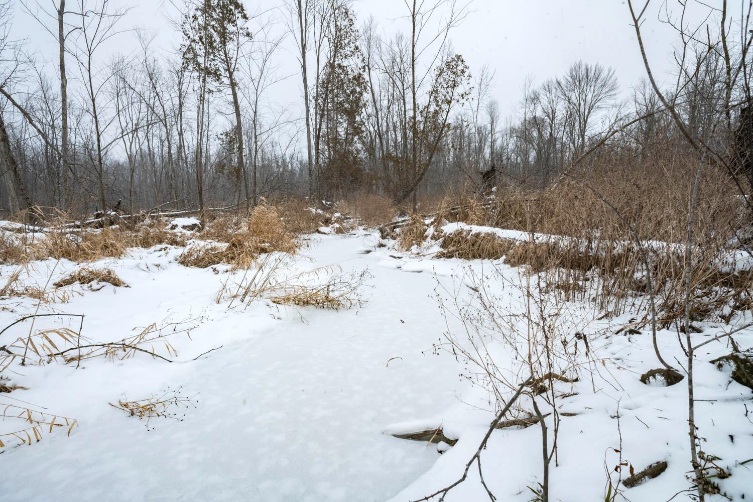 Chicago Road Redgranite, WI 54970 - Photo 23 of 44