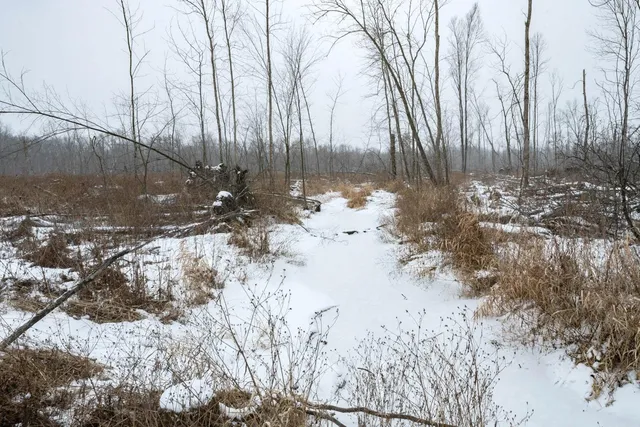 $164,900 | Chicago Road, Redgranite, WI 54970