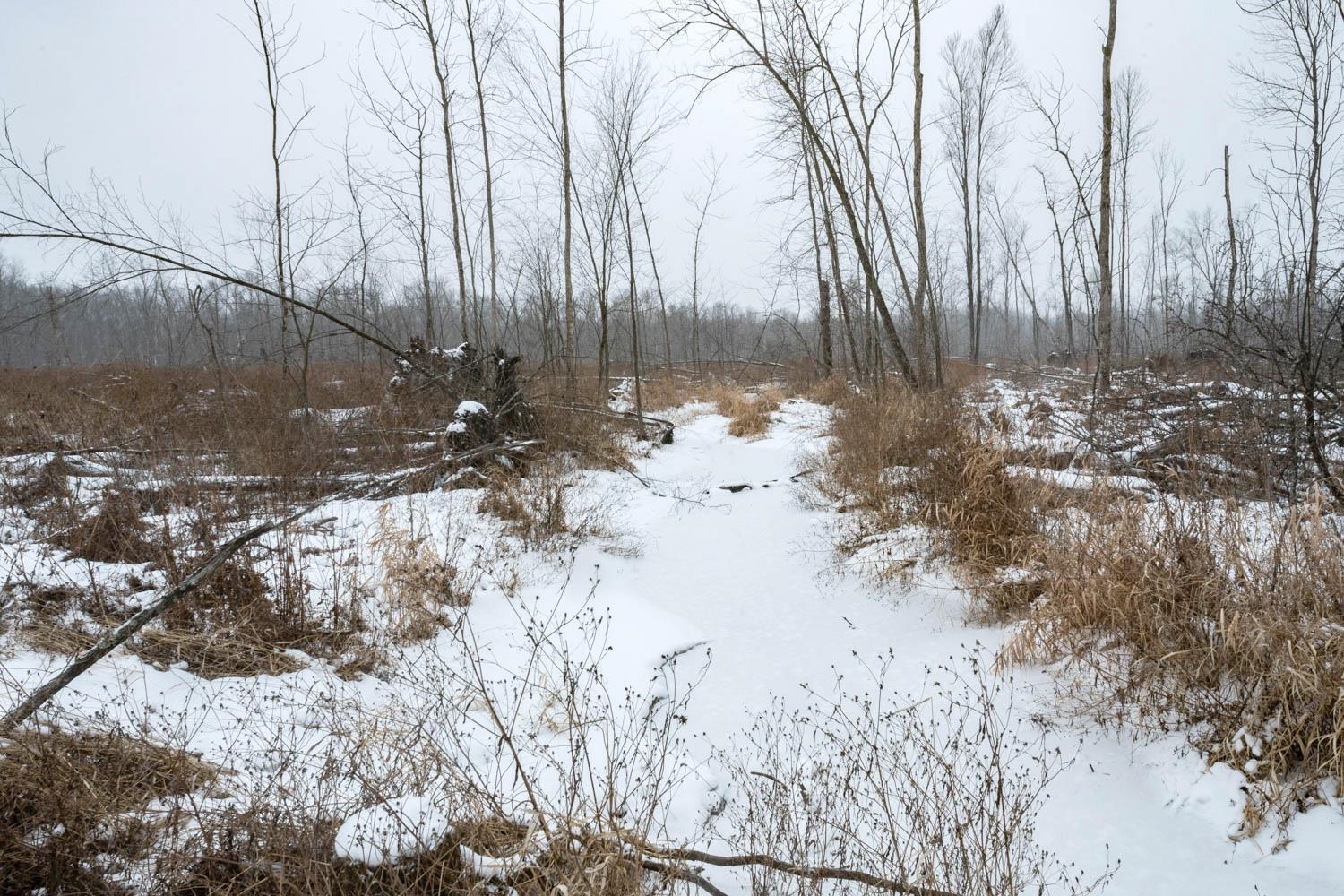 Chicago Road Redgranite, WI 54970 - Photo 24 of 44