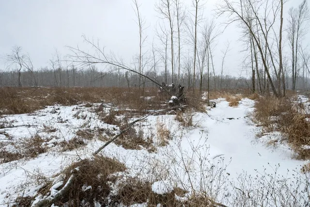 $164,900 | Chicago Road, Redgranite, WI 54970