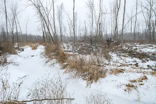 $164,900 | Chicago Road, Redgranite, WI 54970