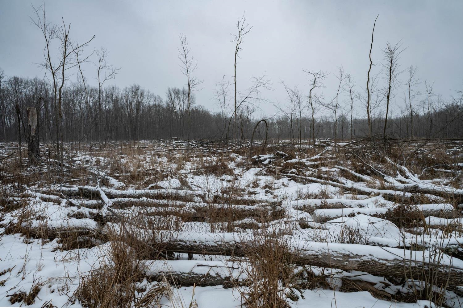 Chicago Road Redgranite, WI 54970 - Photo 27 of 44