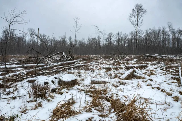 $164,900 | Chicago Road, Redgranite, WI 54970