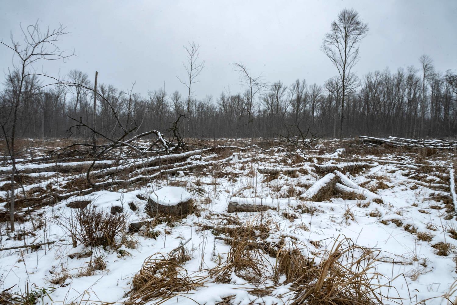Chicago Road Redgranite, WI 54970 - Photo 28 of 44