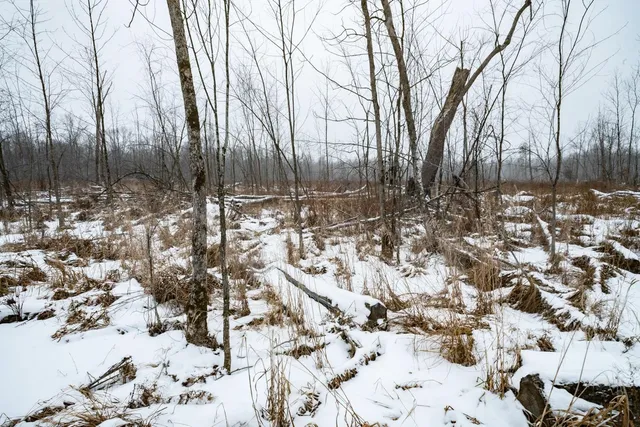 $164,900 | Chicago Road, Redgranite, WI 54970