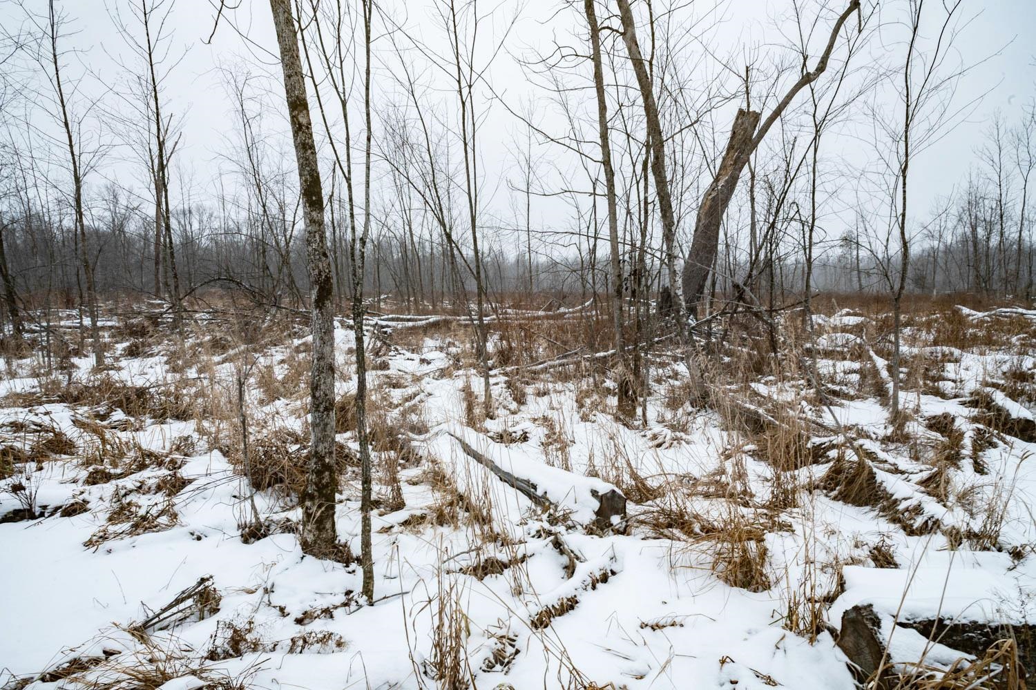 Chicago Road Redgranite, WI 54970 - Photo 29 of 44