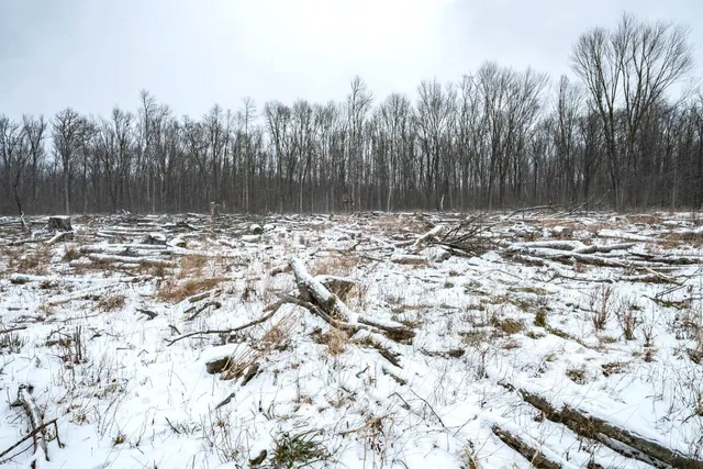 $164,900 | Chicago Road, Redgranite, WI 54970