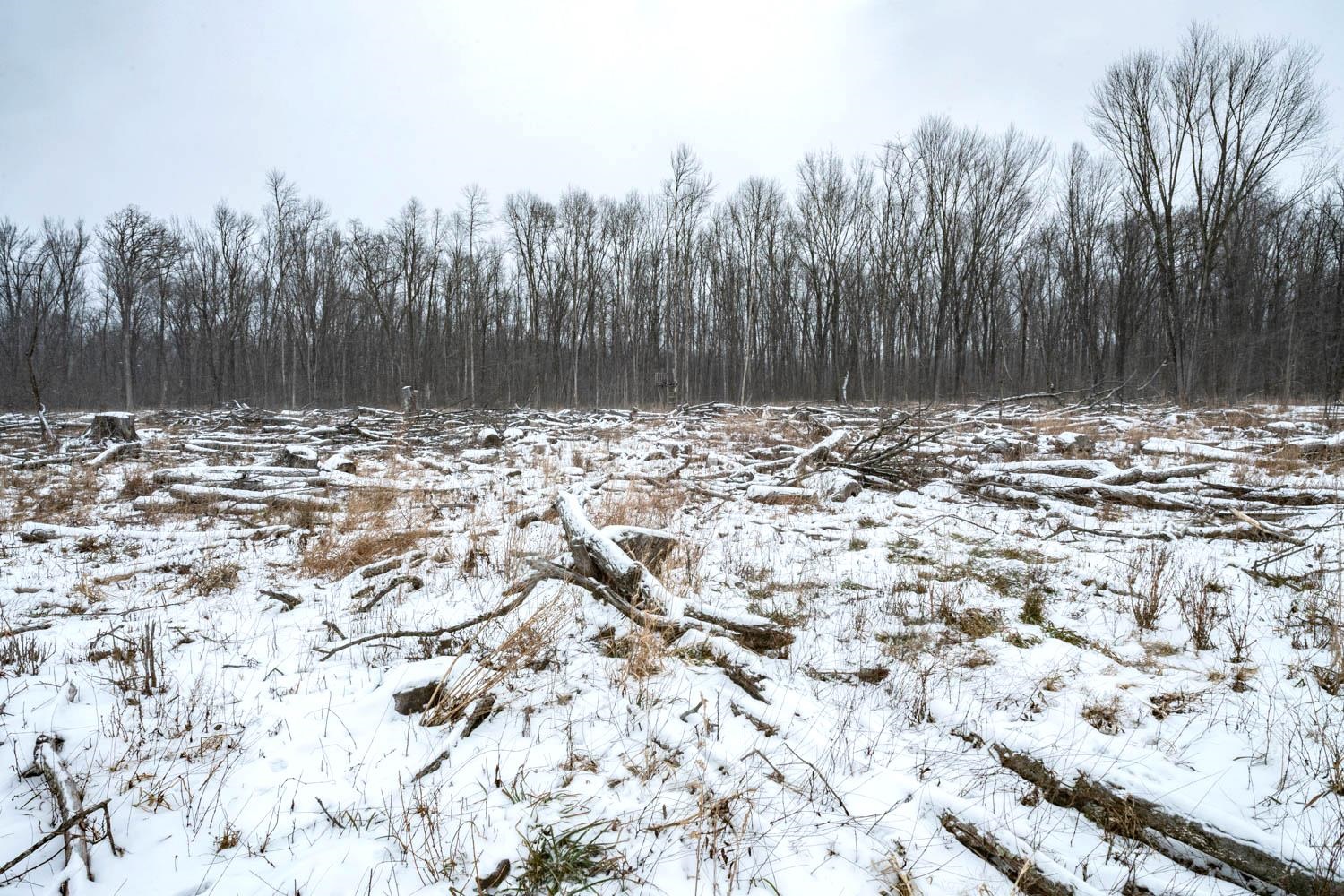 Chicago Road Redgranite, WI 54970 - Photo 30 of 44