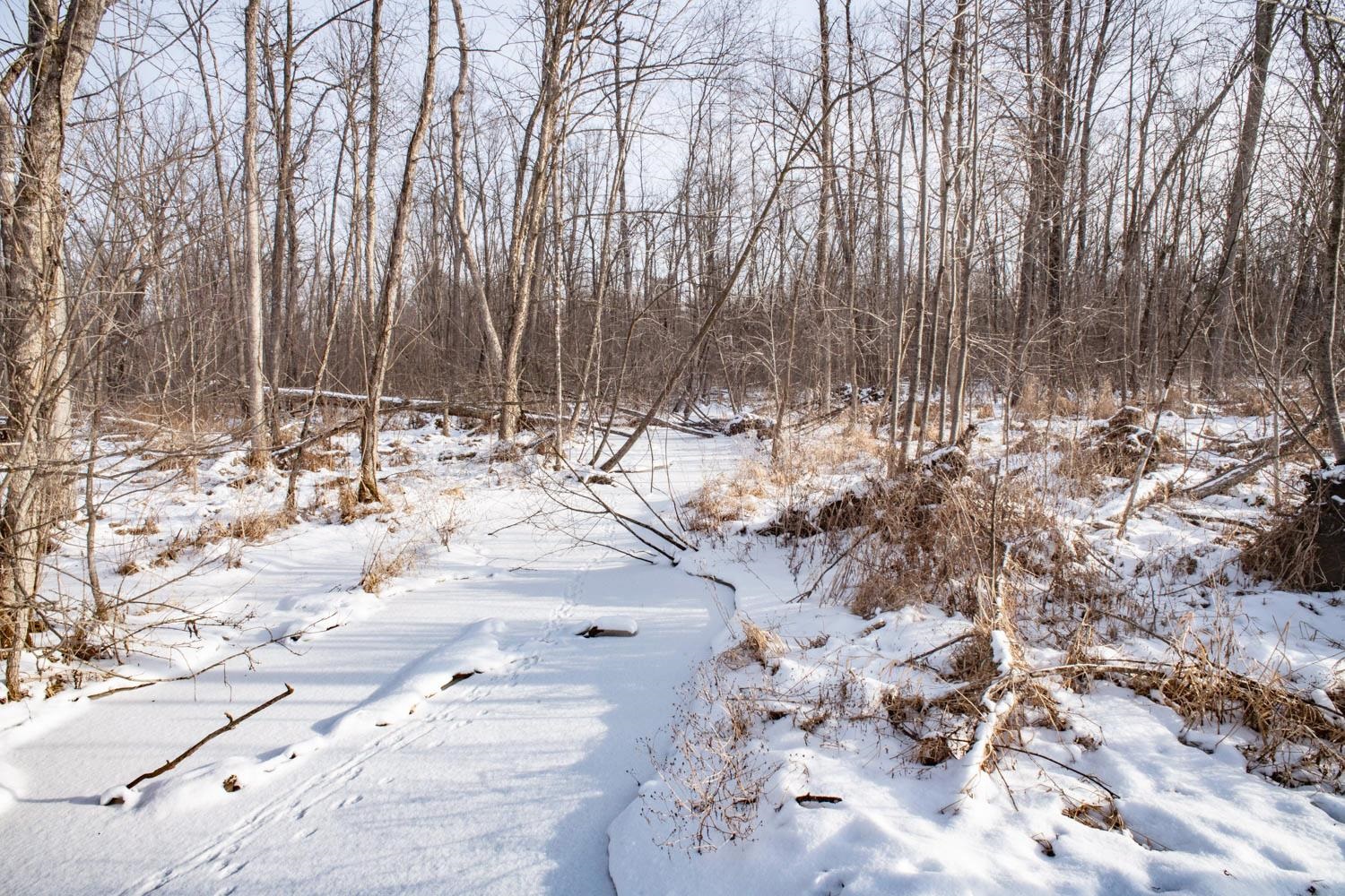 Chicago Road Redgranite, WI 54970 - Photo 32 of 44