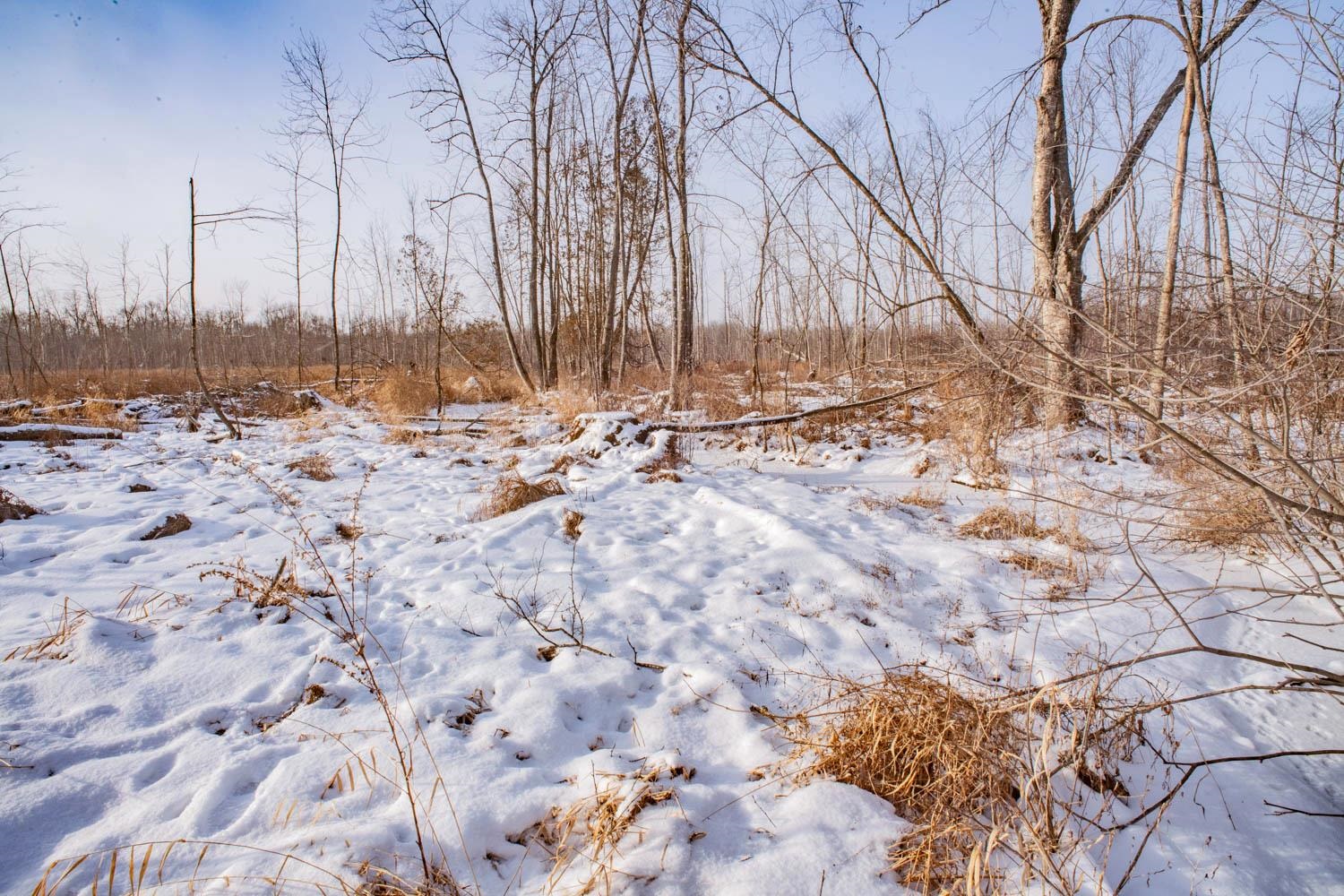 Chicago Road Redgranite, WI 54970 - Photo 33 of 44