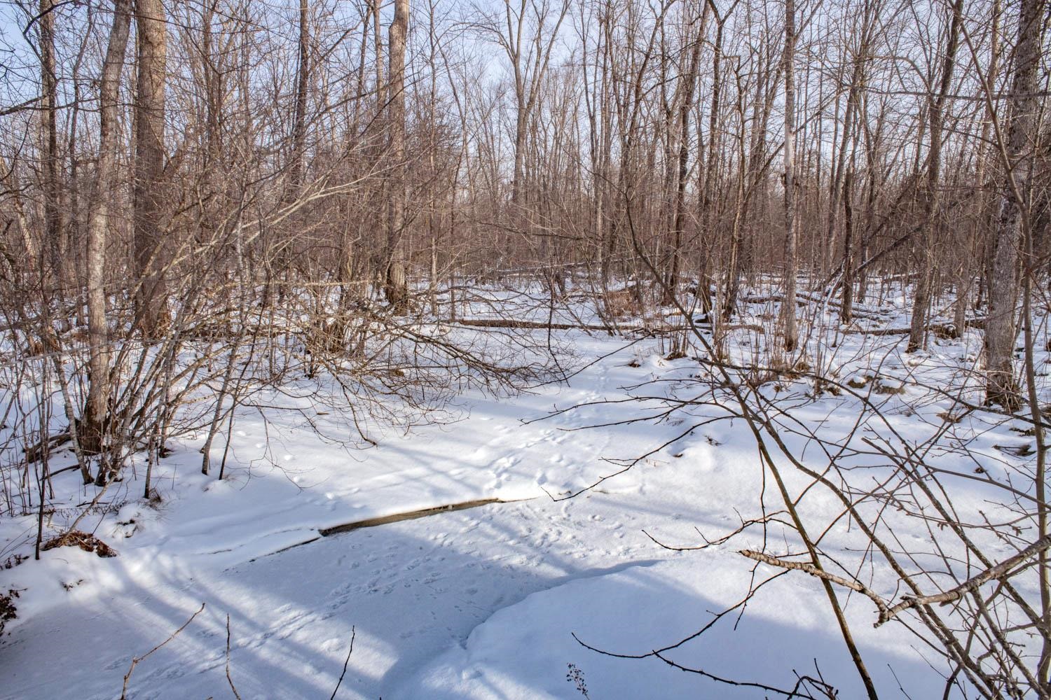 Chicago Road Redgranite, WI 54970 - Photo 34 of 44