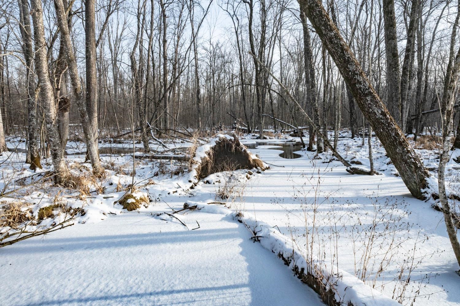 Chicago Road Redgranite, WI 54970 - Photo 36 of 44
