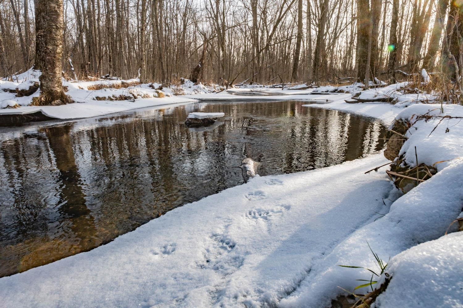 Chicago Road Redgranite, WI 54970 - Photo 6 of 44