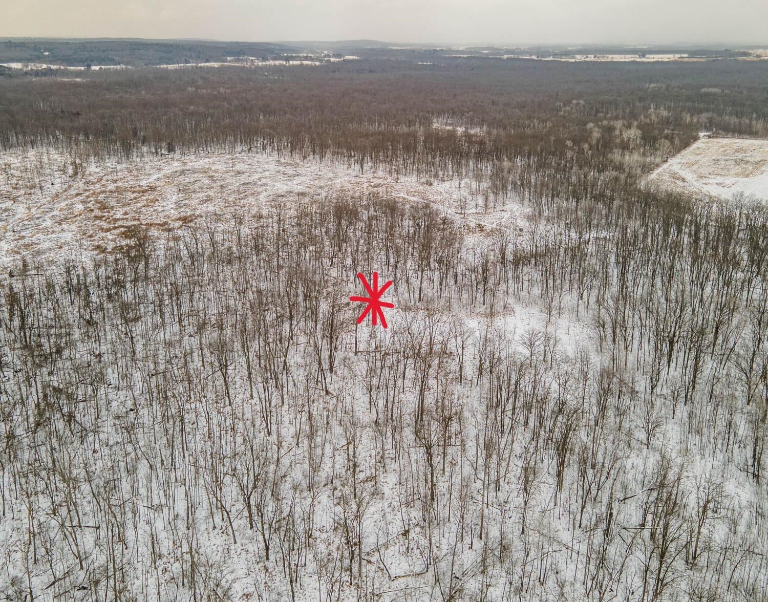 Chicago Road Redgranite, WI 54970 - Photo 8 of 44