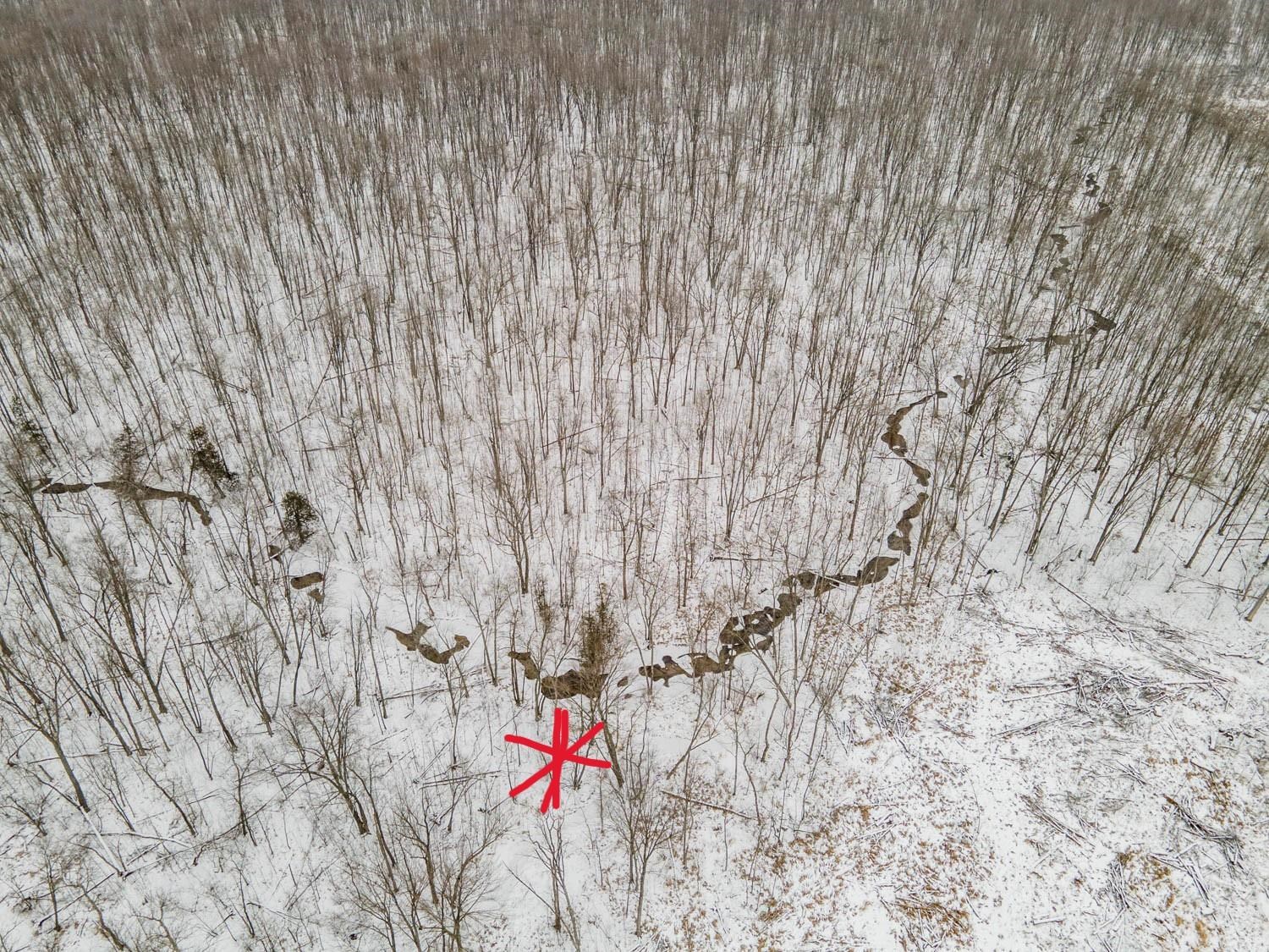 Chicago Road Redgranite, WI 54970 - Photo 10 of 44