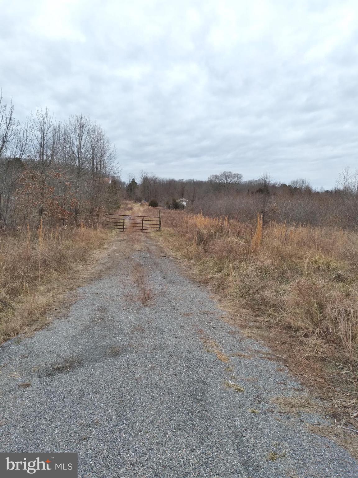 9470 Lomax Road Faulkner, MD 20632 - Photo 1 of 3 Road to Property