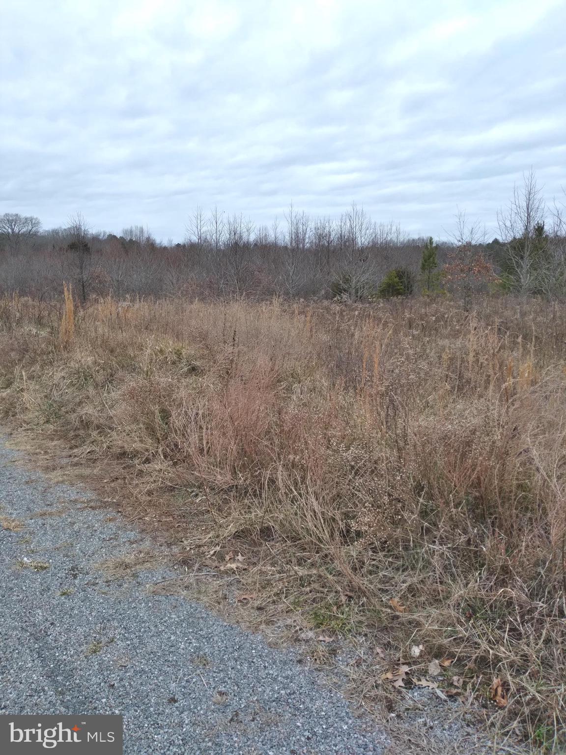 9470 Lomax Road Faulkner, MD 20632 - Photo 2 of 3 Land on Right of Road