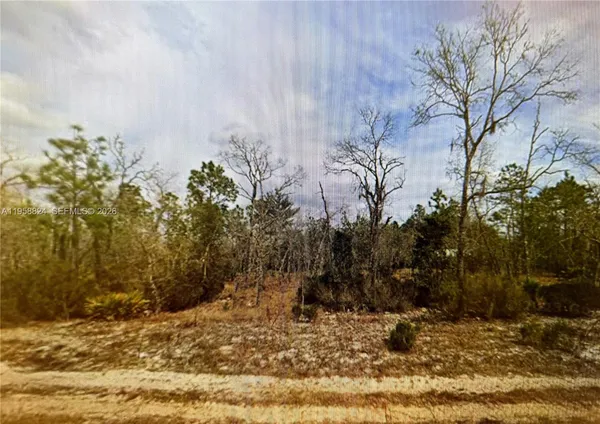 $36,000 | 0 April Avenue, Interlachen, FL 32148