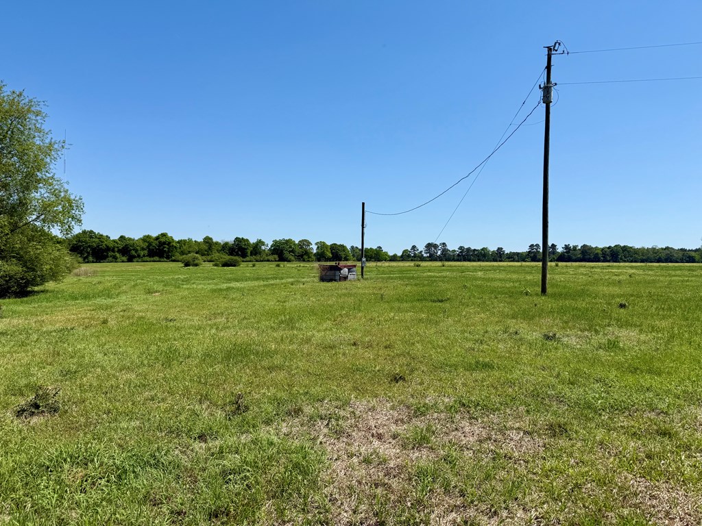 11.25-acres Huskey Road Dothan, AL 36303 - Photo 7 of 13