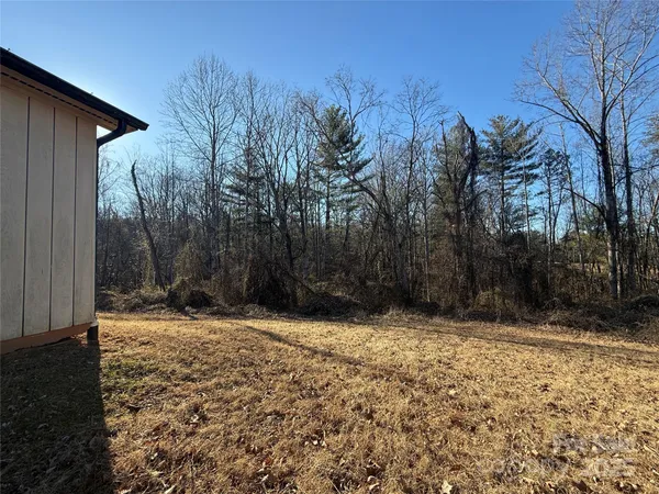 a view of a yard with trees