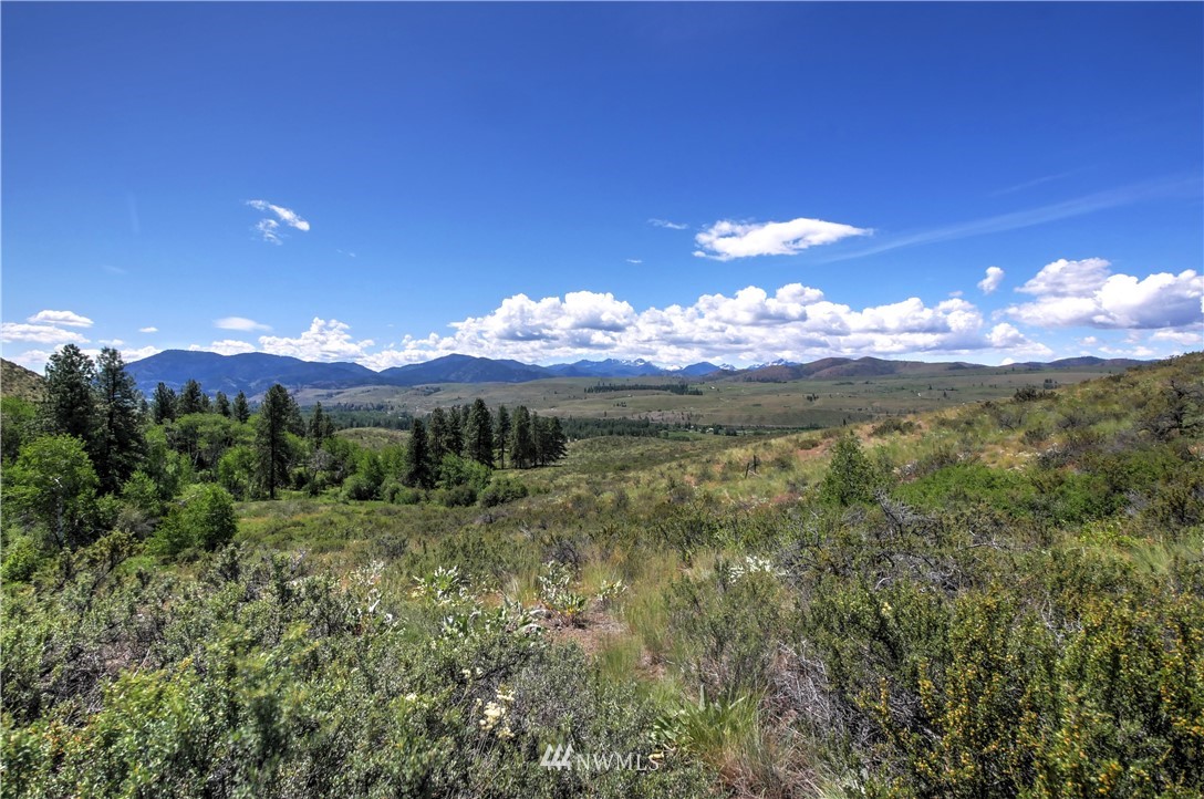 68 Harrier Hill Road Winthrop, WA 98862 - Photo 14 of 39 Gallery Image 14