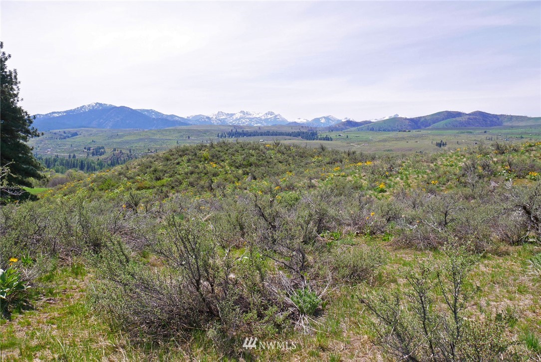 68 Harrier Hill Road Winthrop, WA 98862 - Photo 25 of 39 Gallery Image 25